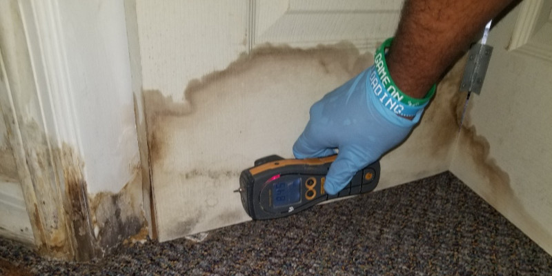 Mold Damage Remediation in Orlando, Florida